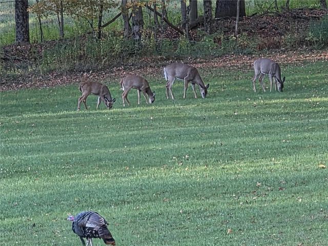 824 County Road 10, Pharsalia, NY 13801