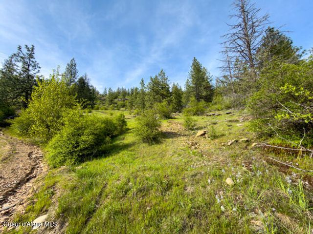 NNA Dunromin Rd, Priest River, ID 83856