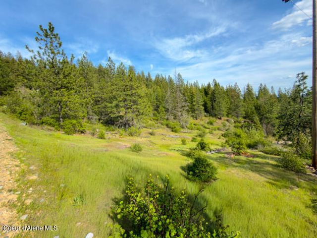 NNA Dunromin Rd, Priest River, ID 83856