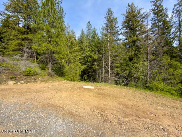 NNA Dunromin Rd, Priest River, ID 83856