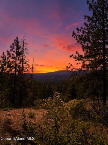 NNA Dunromin Rd, Priest River, ID 83856