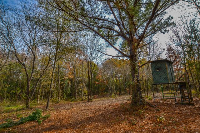 0 CR 4960, Quitman, TX 75783