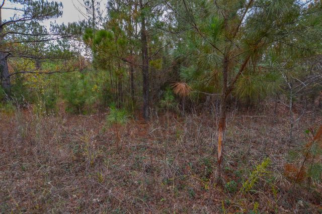 0 CR 4960, Quitman, TX 75783