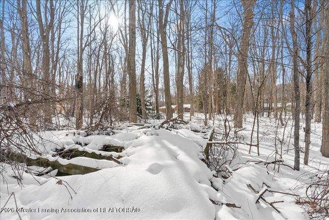 657 Joan Drive, Mason, MI 48854