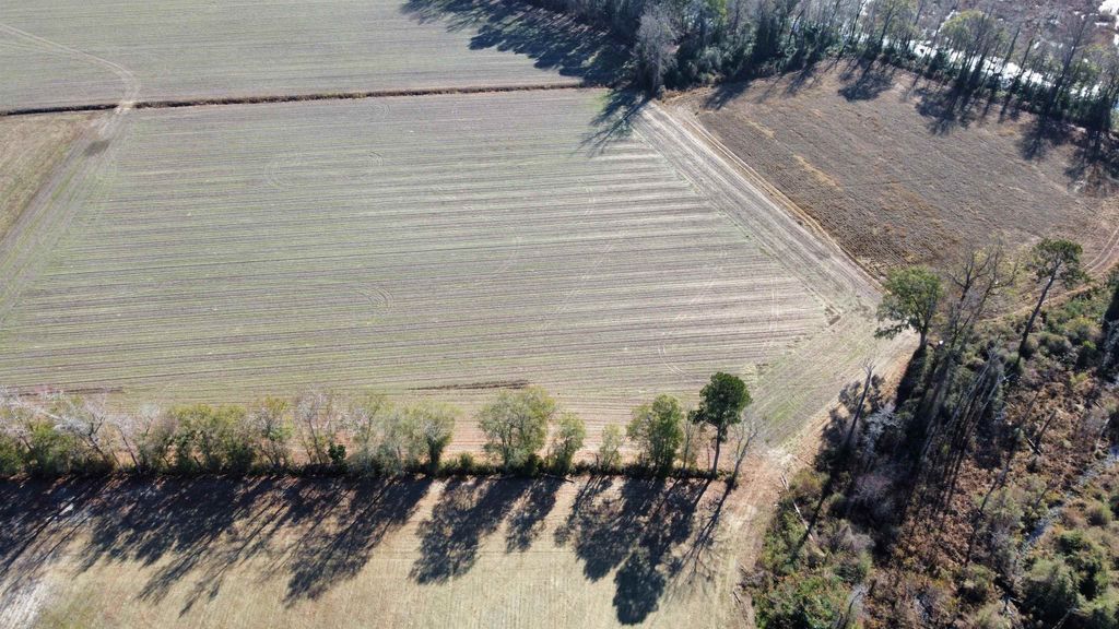 TBD Beth Dr., Nichols, SC 29581 — photo 4