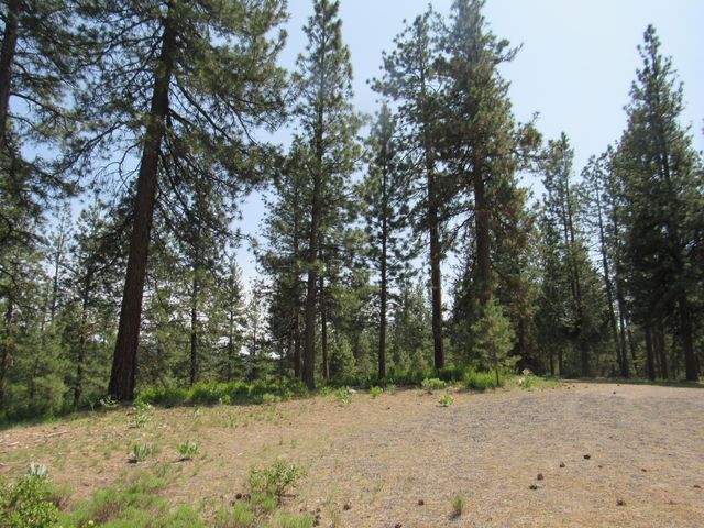 39051 Twin River Drive, Chiloquin, OR 97624