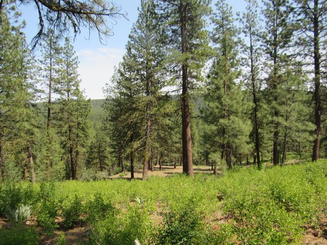 39051 Twin River Drive, Chiloquin, OR 97624