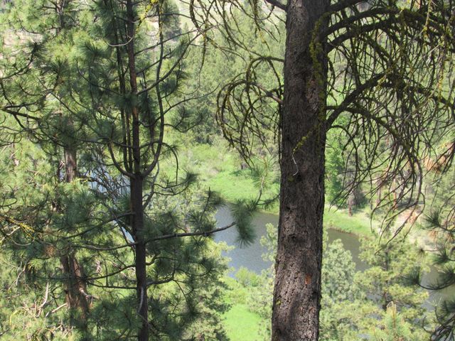 39051 Twin River Drive, Chiloquin, OR 97624