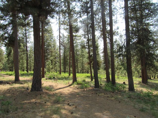 39051 Twin River Drive, Chiloquin, OR 97624