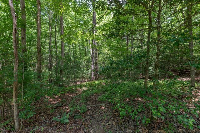 5 AC Solar Drive, Blue Ridge, GA 30513