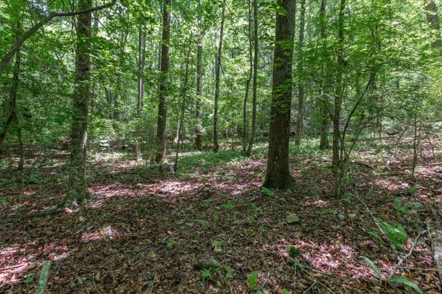 5 AC Solar Drive, Blue Ridge, GA 30513
