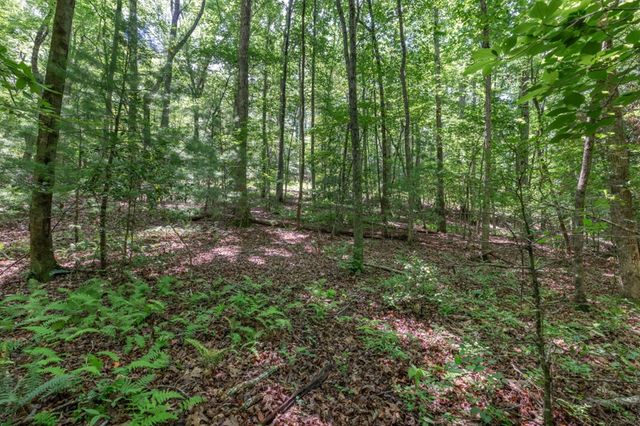 5 AC Solar Drive, Blue Ridge, GA 30513