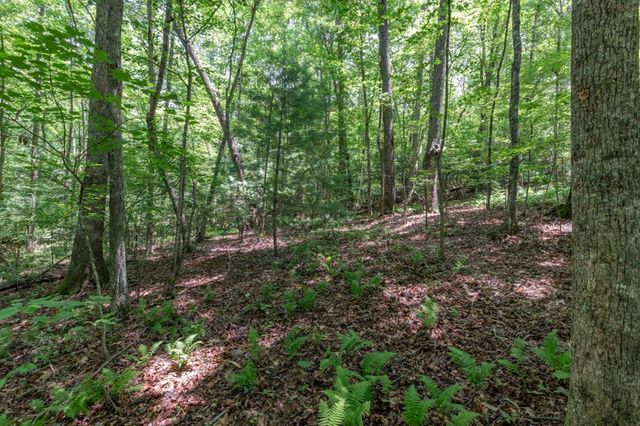 5 AC Solar Drive, Blue Ridge, GA 30513