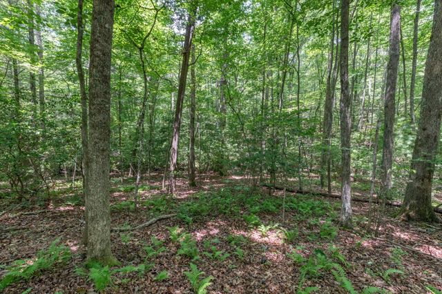 5 AC Solar Drive, Blue Ridge, GA 30513