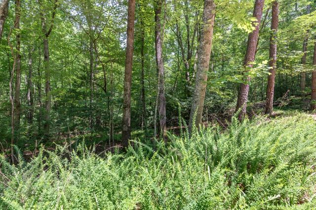 5 AC Solar Drive, Blue Ridge, GA 30513