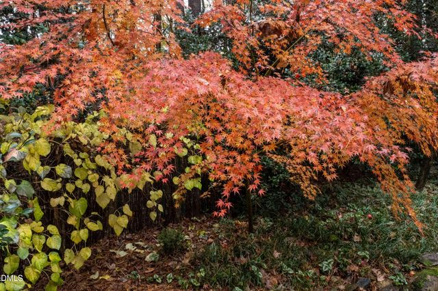 14 Timberlyne Road, Chapel Hill, NC 27514