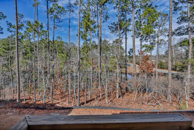 204 Sapphire Gem Lane, Elgin, SC 29045