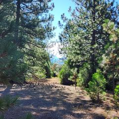 Lot 18 Nehemiah Drive, Shingletown, CA 96088