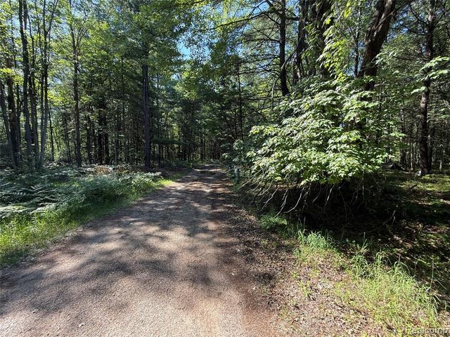 1501 Michael Drive, Alger, MI 48610