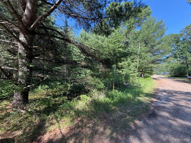 1501 Michael Drive, Alger, MI 48610
