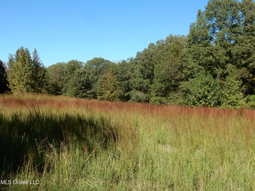Lot 5 N Crockett Road, Senatobia, MS 38668 — photo 2