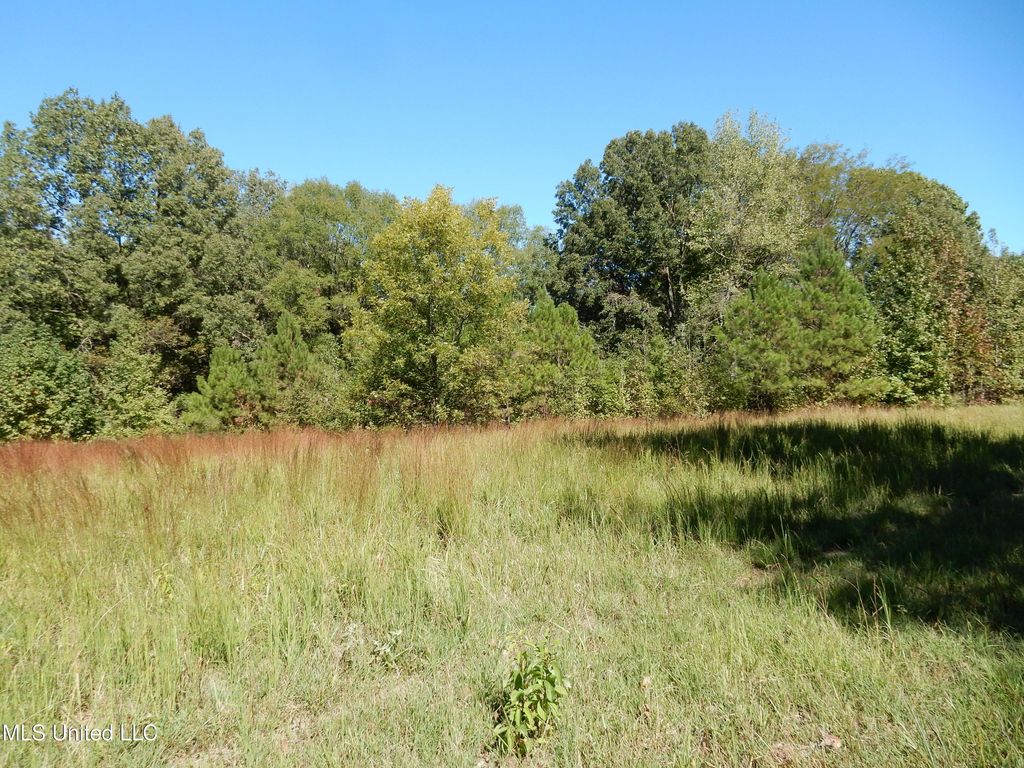 Lot 5 N Crockett Road, Senatobia, MS 38668 — photo 3