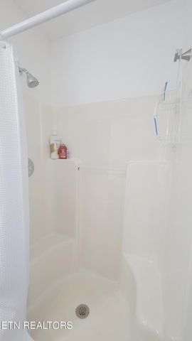 264 Curry Way, Del Rio, TN 37727