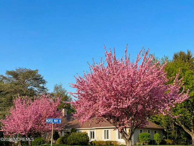 7 Morse Way N, Holmdel, NJ 07733