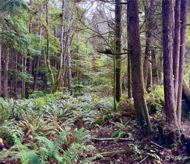 0 Copalis Beach Road, Copalis Beach, WA 98535