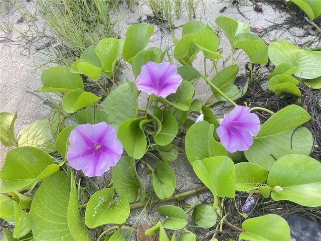 107 Desota Street, Fort Pierce, FL 34949