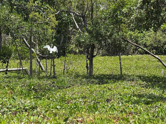 225 N Lakeshore Drive, Hypoluxo, FL 33462