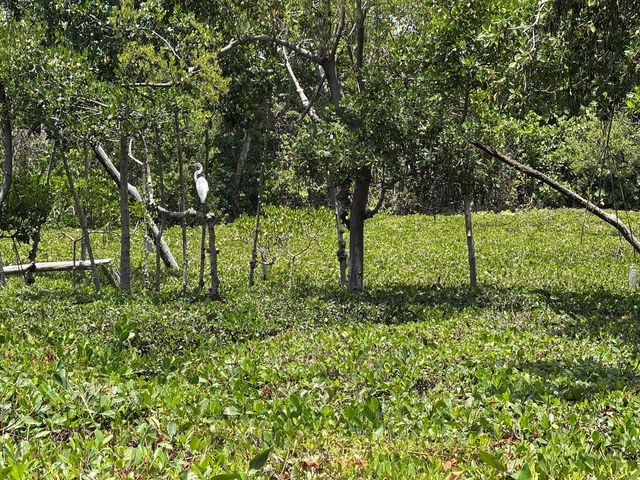 225 N Lakeshore Drive, Hypoluxo, FL 33462