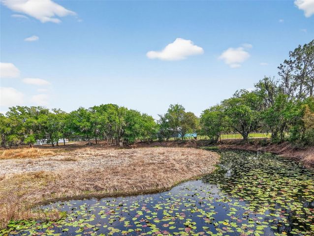 22431 LOOP ROAD, Groveland, FL 34736