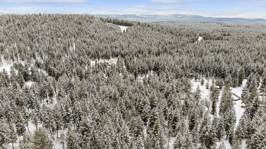 Lot 3 Moose Farm, Fortine, MT 59918 photo 13
