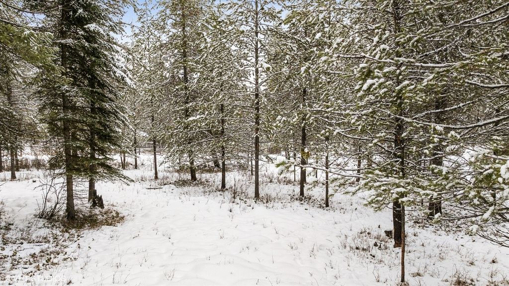 Lot 3 Moose Farm, Fortine, MT 59918 photo 15