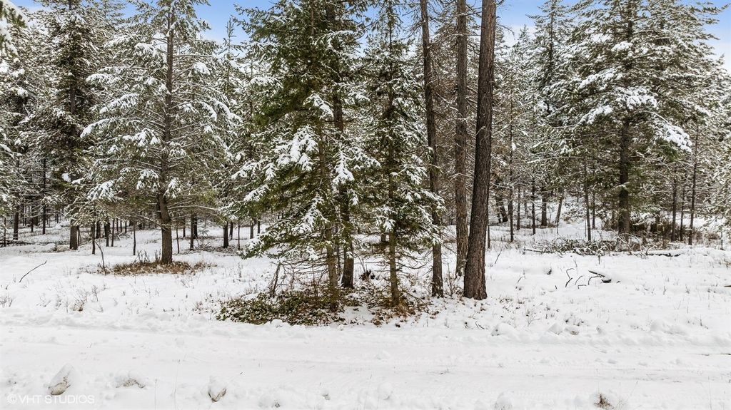 Lot 3 Moose Farm, Fortine, MT 59918 photo 16