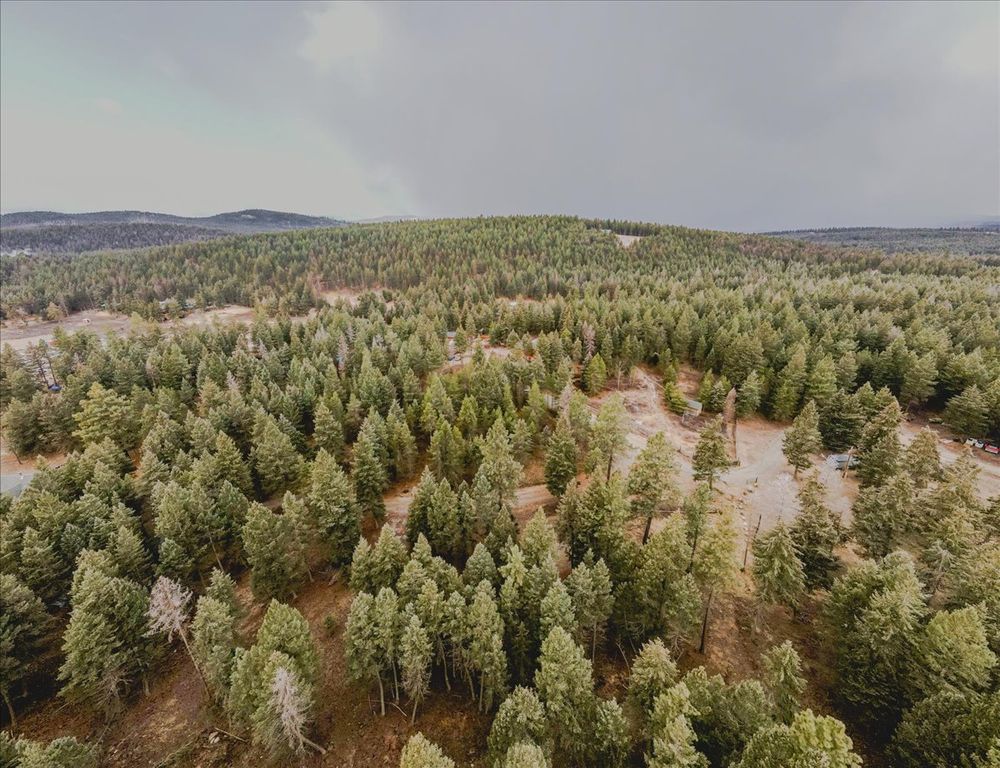 Lot 3 Moose Farm, Fortine, MT 59918 photo 21