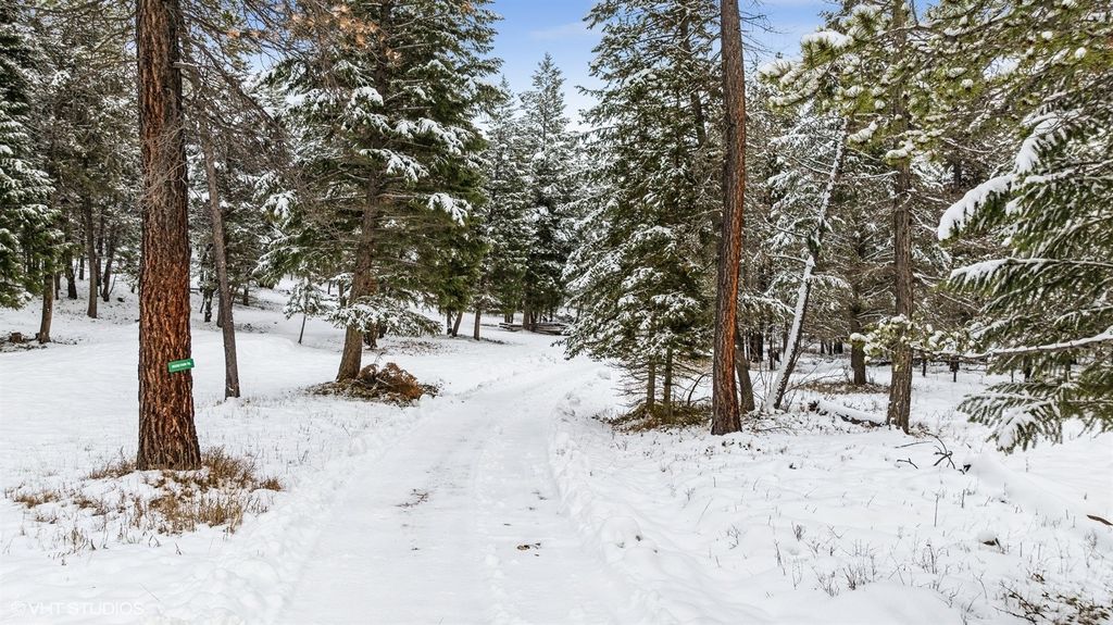Lot 3 Moose Farm, Fortine, MT 59918 photo 3