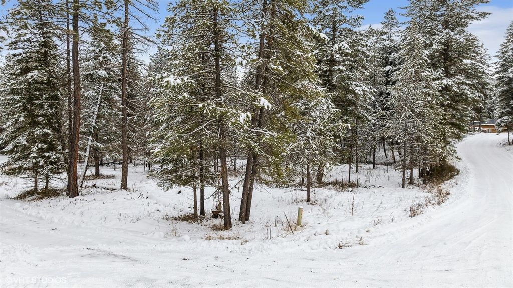 Lot 3 Moose Farm, Fortine, MT 59918 photo 4