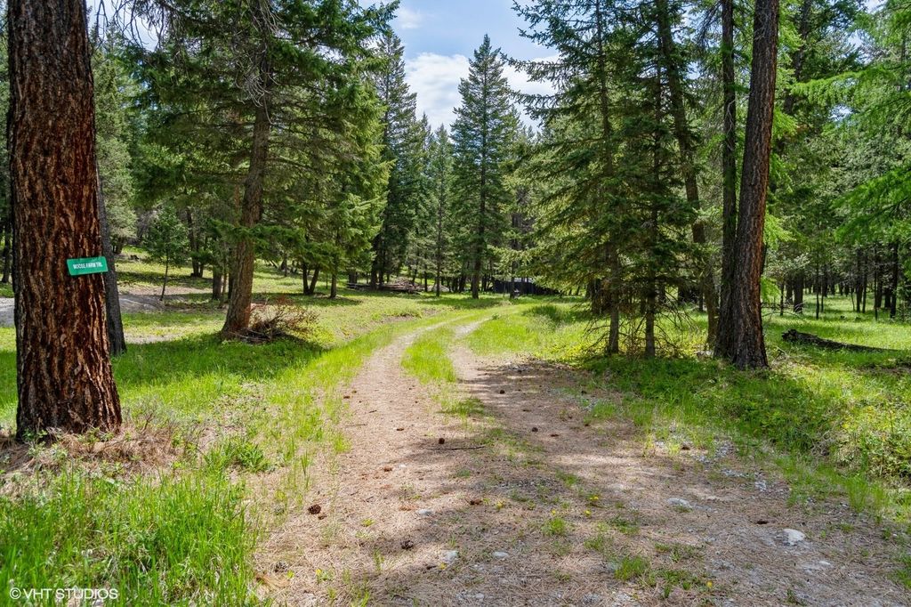 Lot 3 Moose Farm, Fortine, MT 59918 photo 7