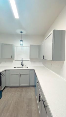 9719 Pelsey Street, Houston, TX 77029