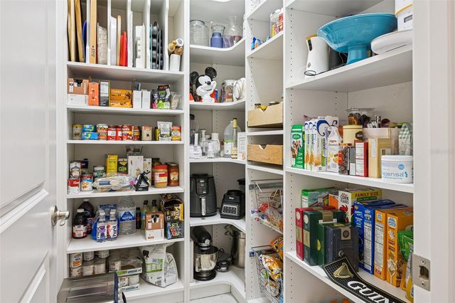 10693 PETRILLO WAY, Winter Garden, FL 34787