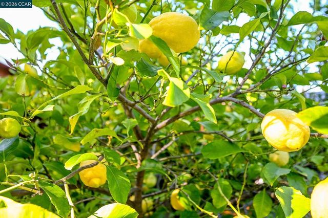 3782 Hitchcock Rd, Concord, CA 94518