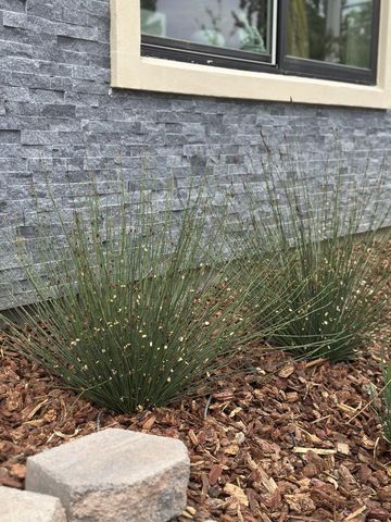 513 Union Avenue, Campbell, CA 95008