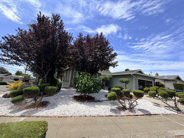 29793 Holiday Street, Hayward, CA 94544