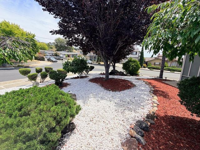 29793 Holiday Street, Hayward, CA 94544