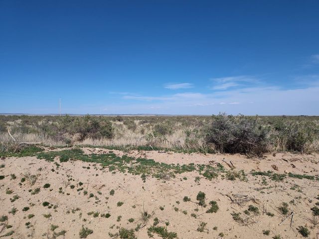 Ice Plant Court, Mcintosh, NM 87035