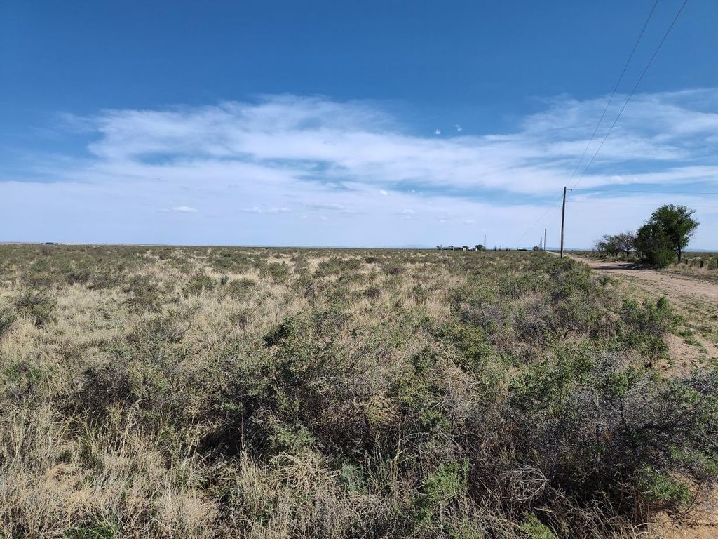 Ice Plant Court, Mcintosh, NM 87035