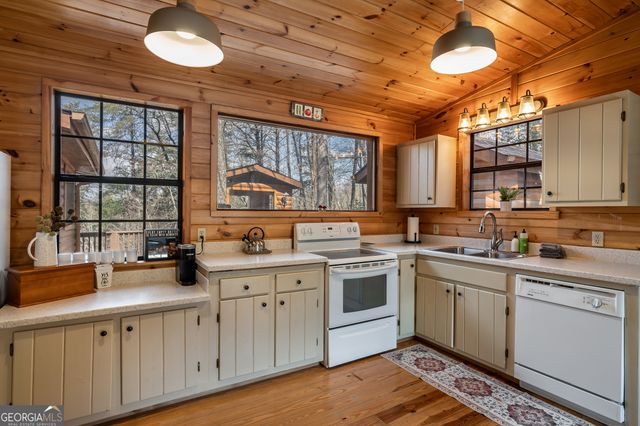 233 River Hills Road, Mineral Bluff, GA 30559