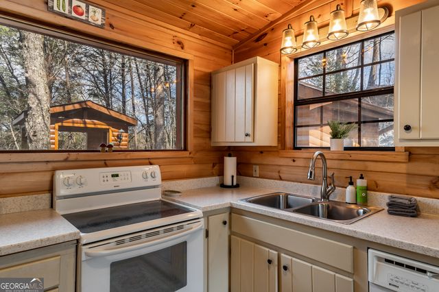 233 River Hills Road, Mineral Bluff, GA 30559